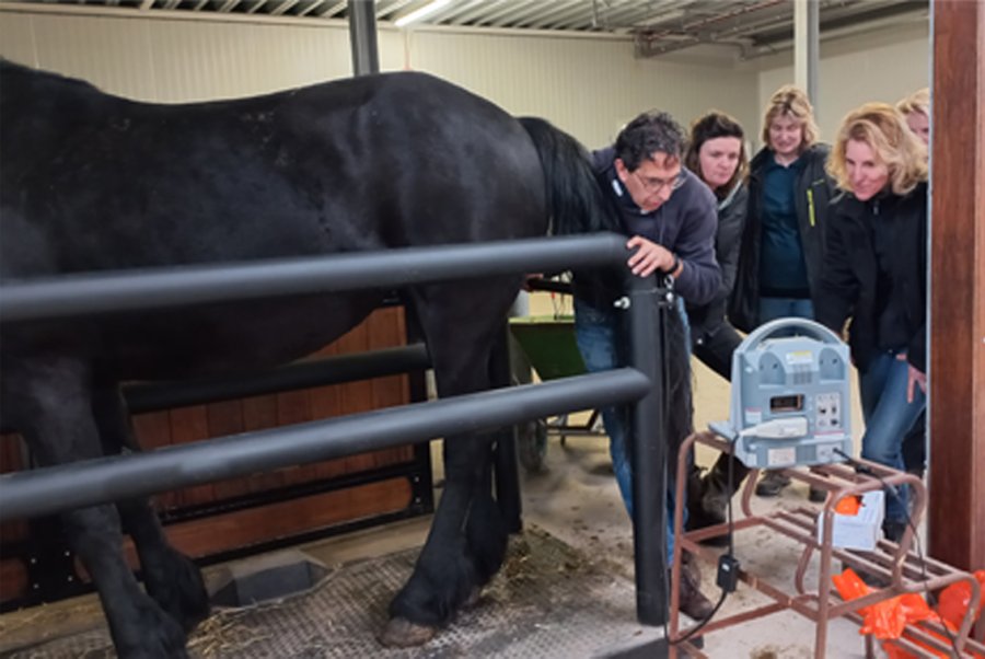 Zelfstandig Scannen Traject